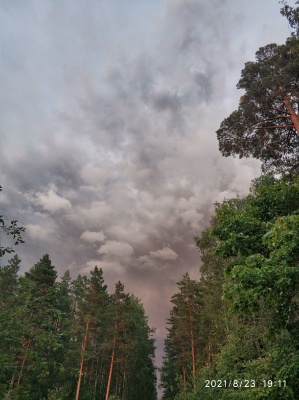 1_Пожар с железной дороги - 2.jpg